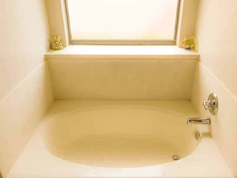 Master Bathroom View 2