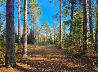Leathers Rd, Orr, MN 55771