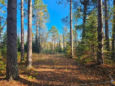 Leathers Rd, Orr, MN, 55771