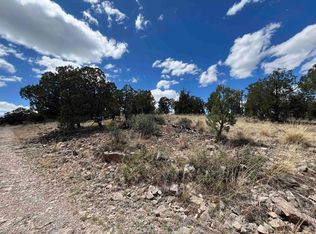 20 Lewis Canyon Rd, Weed, NM 88354