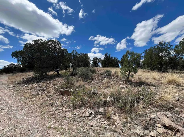 20 Lewis Canyon Rd, Weed, NM 88354