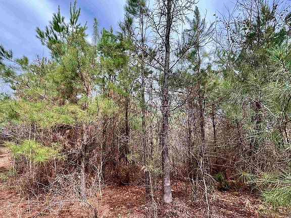 5th image of 1 Ford Rd