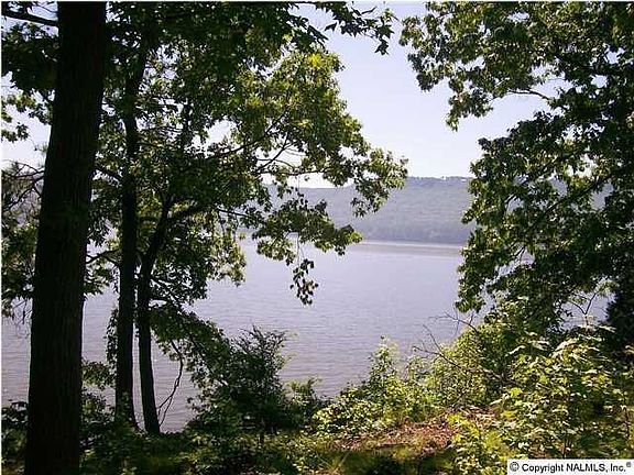 4th image of 2059 Lookout Mountain Dr