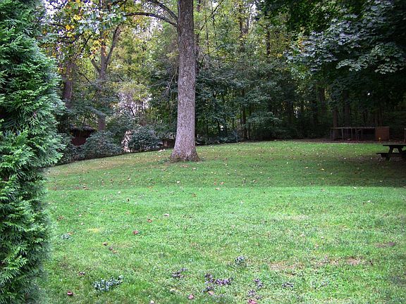 Side Yard