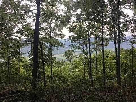 1st image of 704 Stoneclift Dr