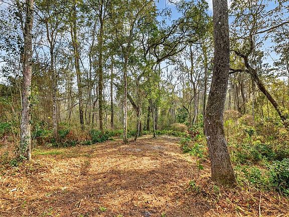 5th image of Powell Rd Lot 15