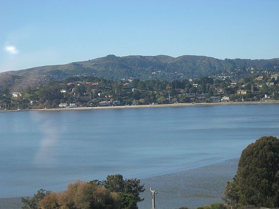 Bay Views to Mt Tam