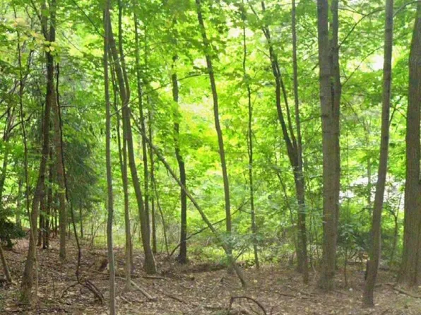 L51 The Mall, Amsterdam, NY 12010