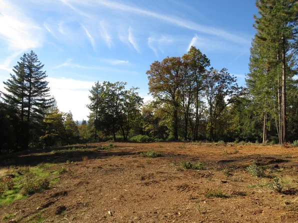 Steamers Ravine Rd, Colfax, CA 95713