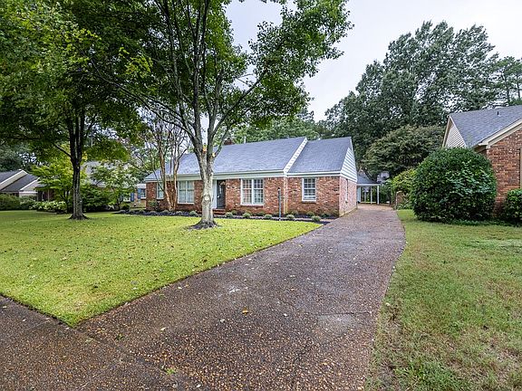 Front yard and driveway