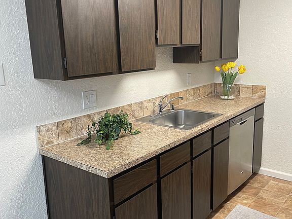 Kitchen Sink / Dishwasher