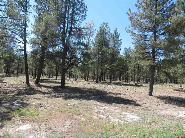 1445 Trails Boulevard, Pagosa Springs, CO 81147
