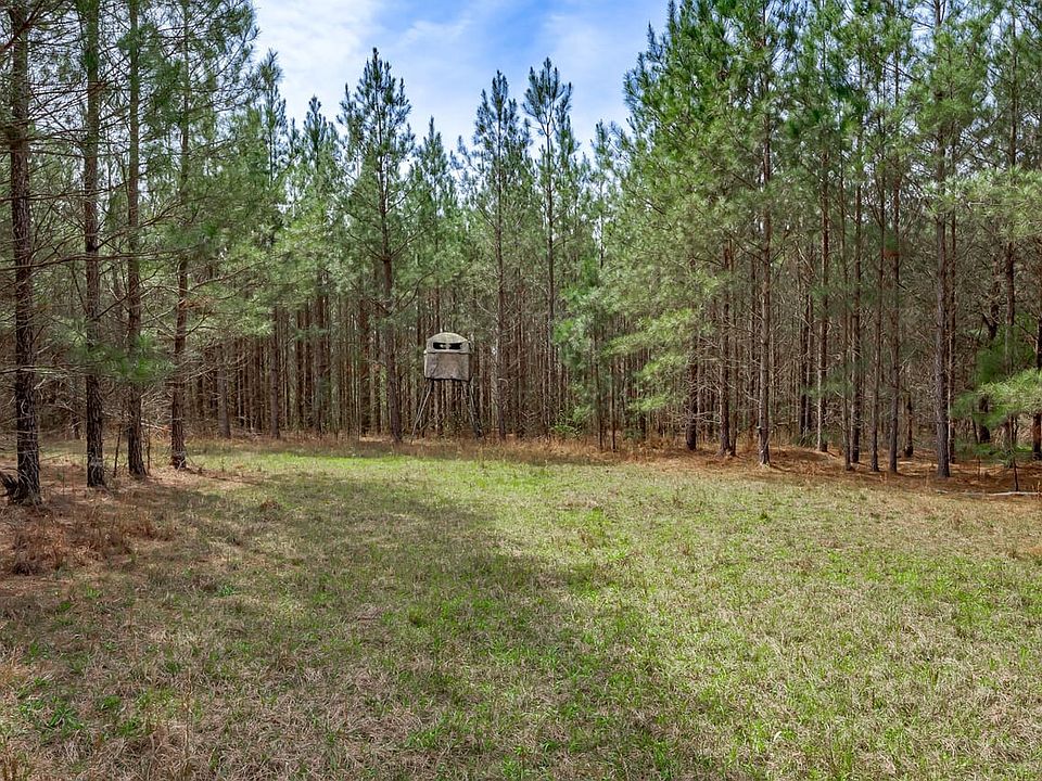 Waynesboro Ga Tract 3 021