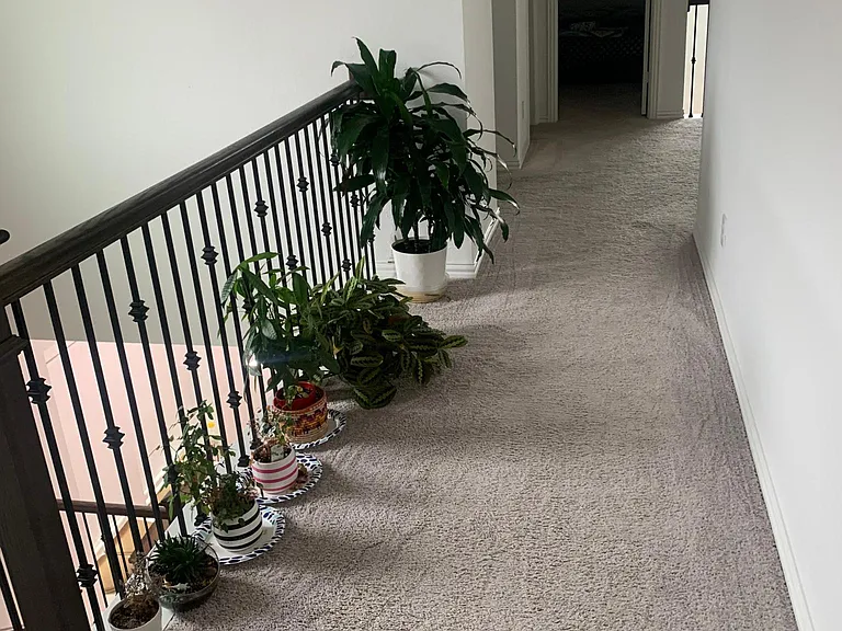 238 Woodson St — Photo 11