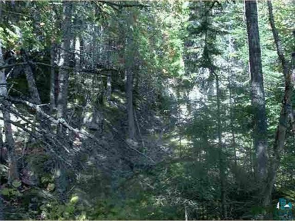 5th image of 1542 E Highway 61