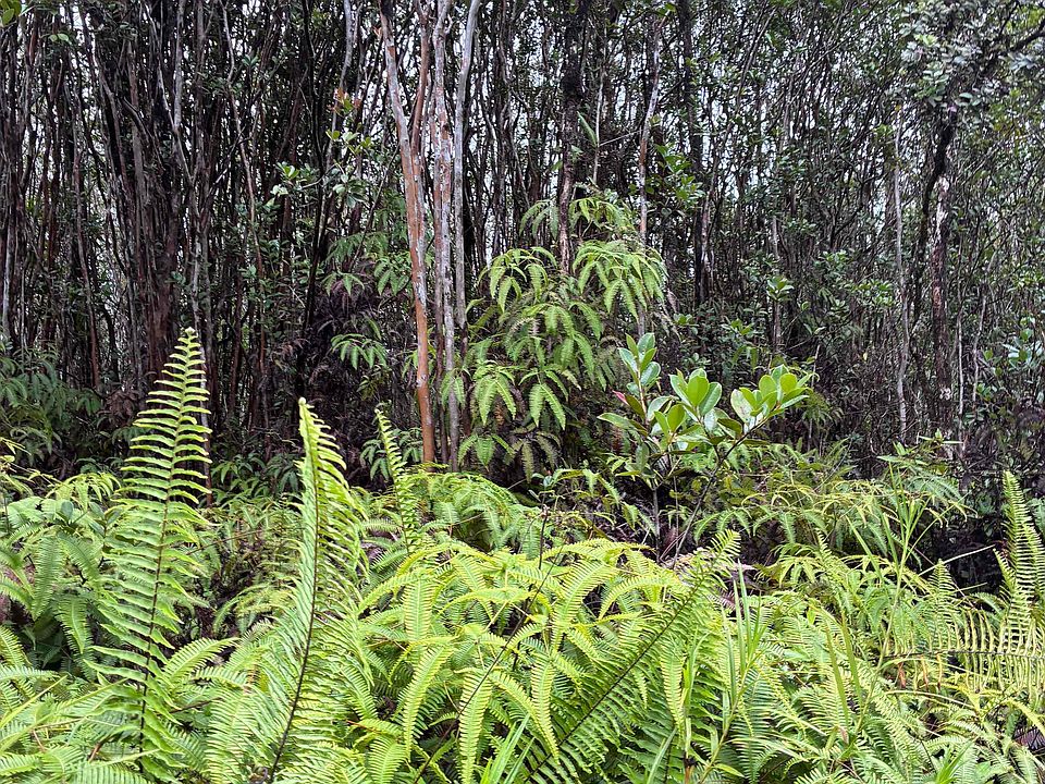2nd image of Road 5 Lot 3866