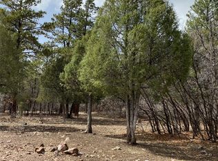 Private Drive 1754 LOT 24, Chama, NM 87520