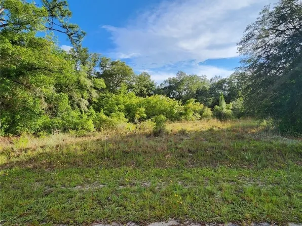 9540 N Evenstock Way, Crystal River, FL 34428