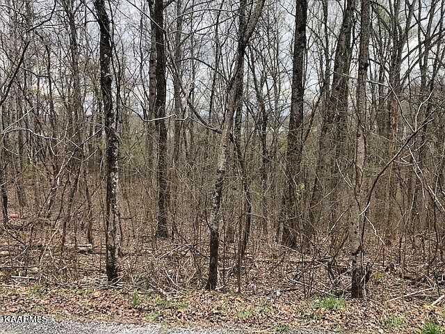 2nd image of Spruce Dr