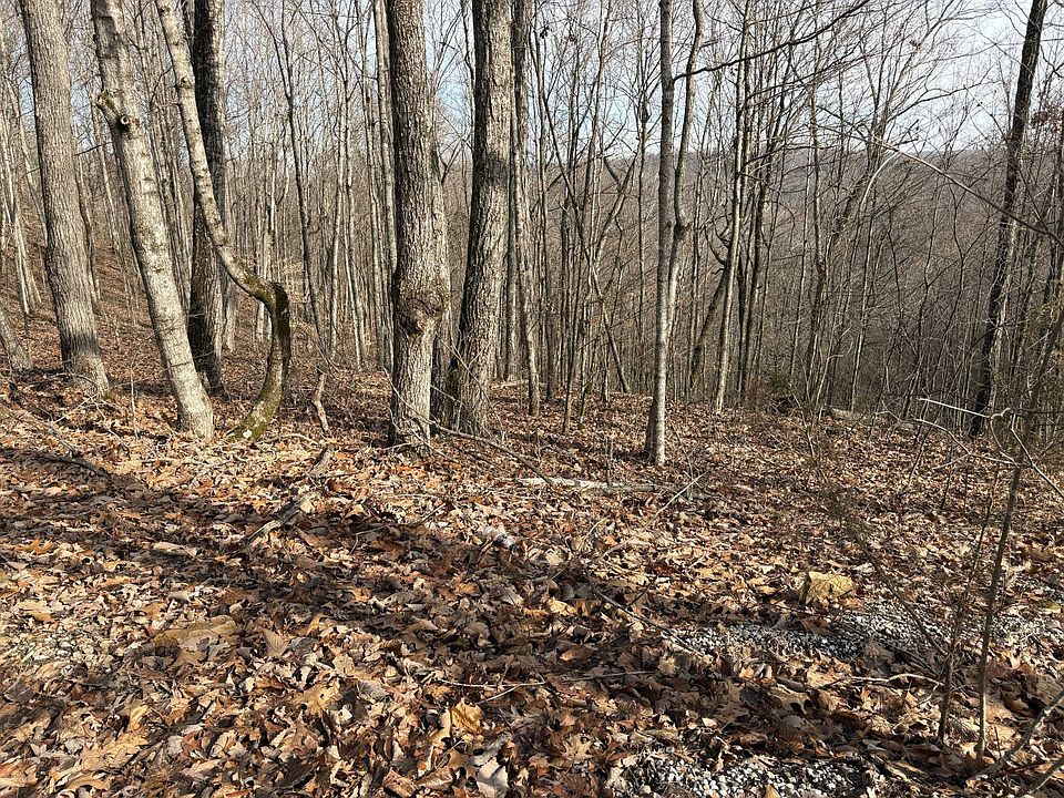 2nd image of 0 Subtle Garrett Creek Rd