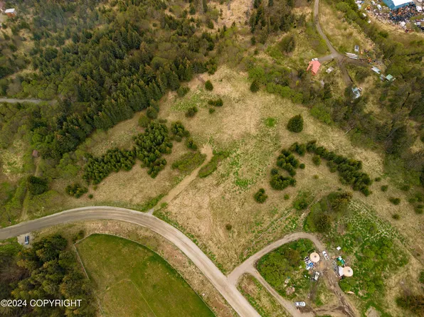 32159 Pacific Park St, Anchor Point, AK 99556