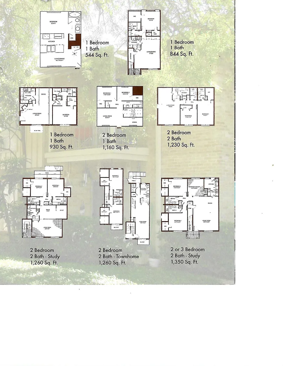 Floor plan 1 bed 1bath