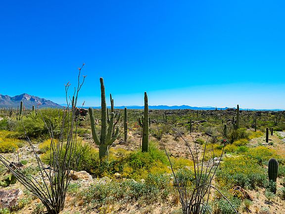 3rd image of 1796 Tortolita Mountain Cir #586