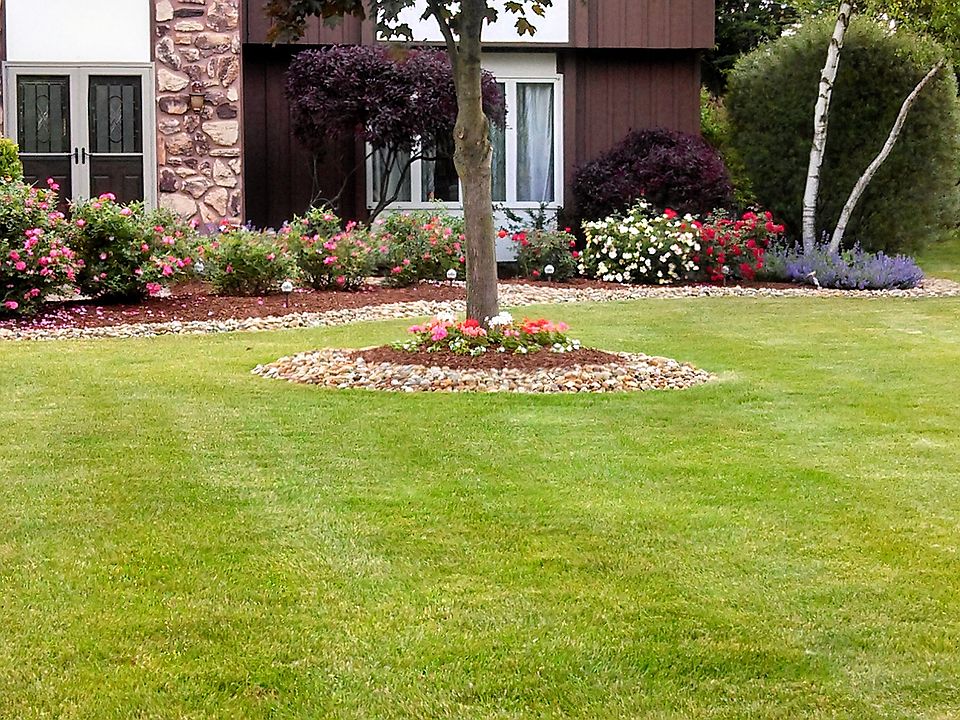 1st image of 725 Damon Dr