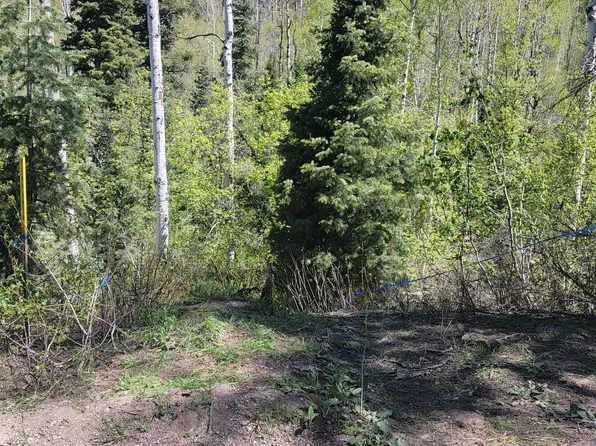 819 N Fork Rd, Mount Pleasant, UT 84647