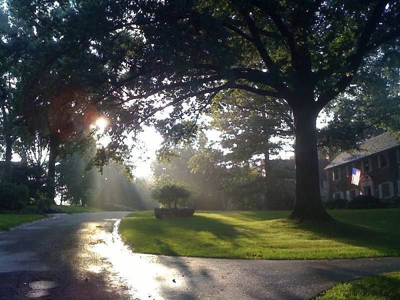 Corner of Penhurst & Wilson in Summer
