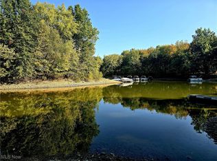 10745 Leffingwell Rd, North Benton, OH 44449