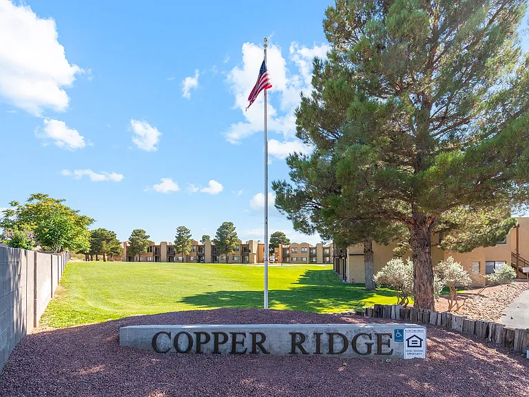 Copper Ridge — Photo 32