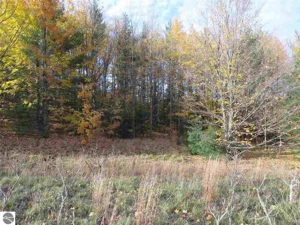 LOT 98 Eden St, Kingsley, MI 49649