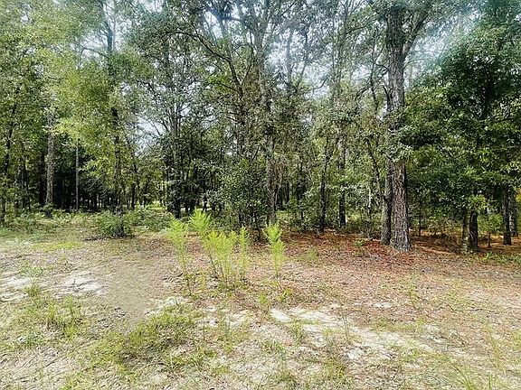 3rd image of Lot 8 NE 102nd Ct