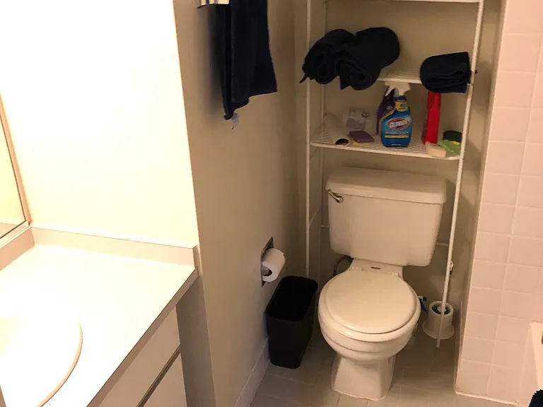 1804 Green St #303 — Photo 12
