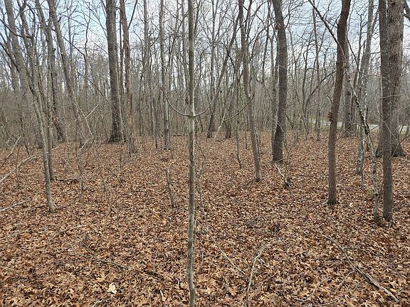 5th image of 13 Pond Rd