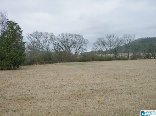 0 Lake Charles Dr #8, Alpine, AL 35014