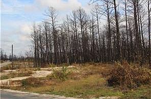 1st image of 351 Cardinal Dr