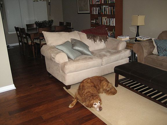 Living and dining room