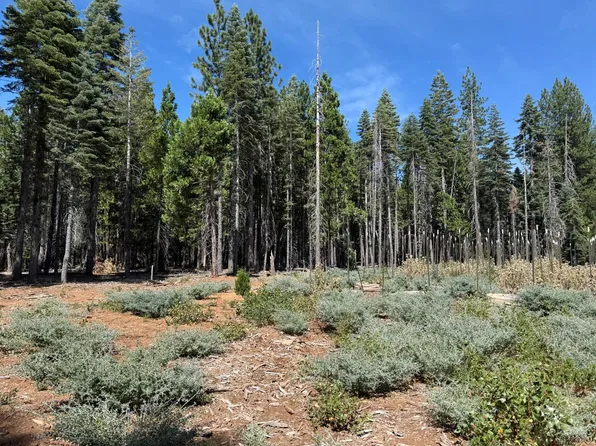 15379 Robbins Ranch Rd, Nevada City, CA 95959