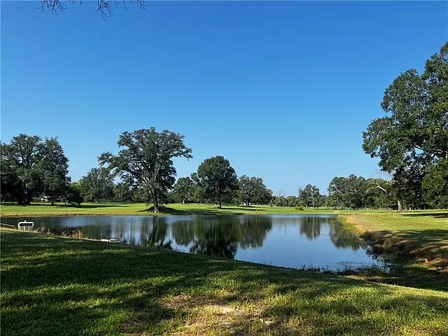 475 Deerfield Rd — Photo 11
