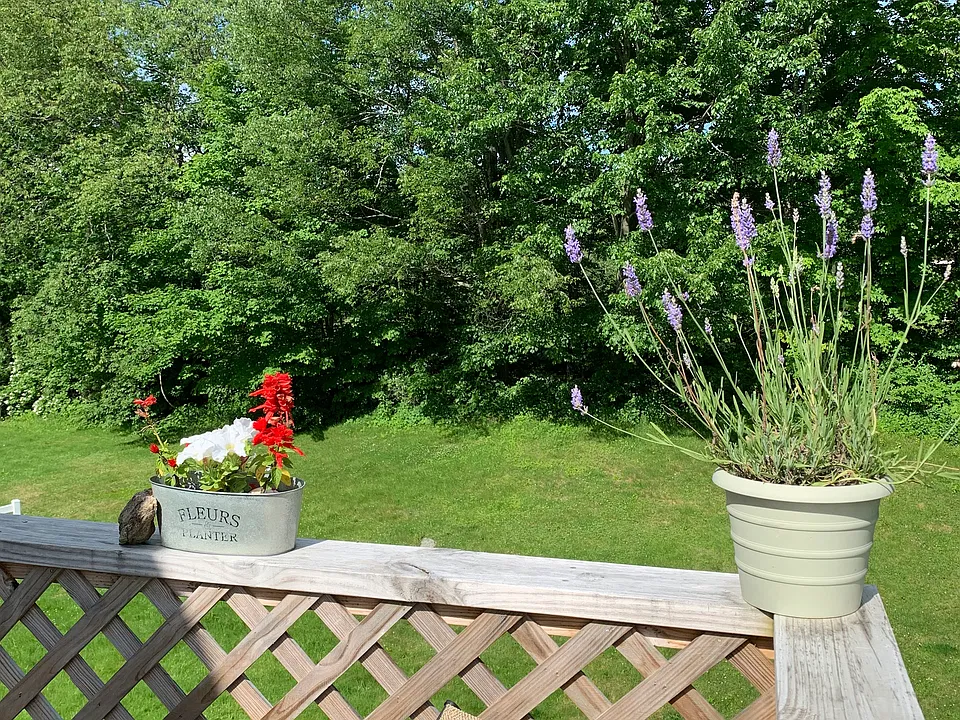 View of the back yard from your deck.