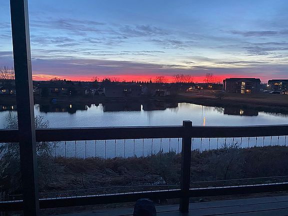 Back yard with a view 