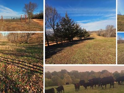 Low Gap Rd, Noel, MO, 64854