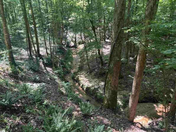 Old Calhoun Falls Rd, Abbeville, SC 29620