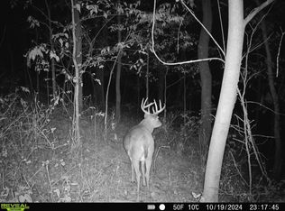 Clark Rd, Browntown, WI 53522