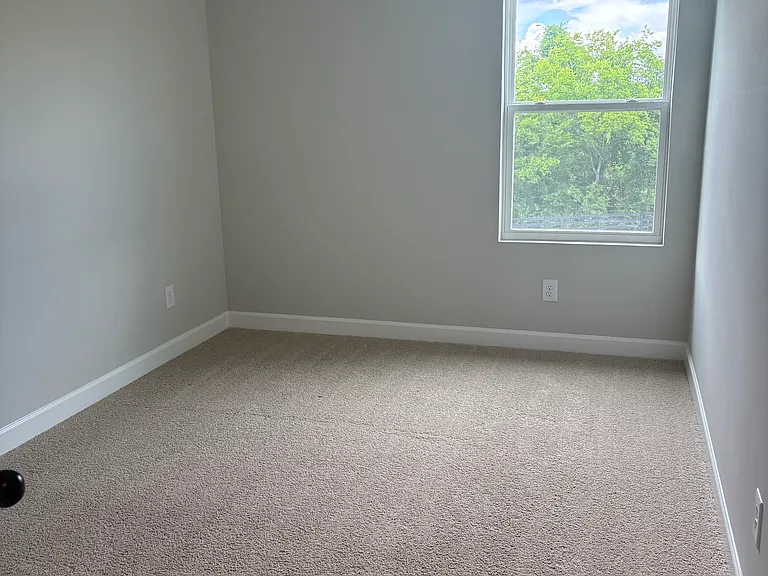 384 Twig Ct — Photo 13