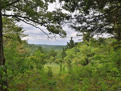 937 Neave Milford Rd, Falmouth, KY, 41040