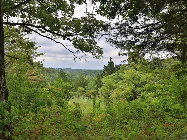 937 Neave Milford Rd, Falmouth, KY 41040