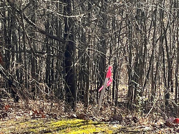 4th image of 0 Deerbrook Ln